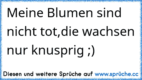 Meine Blumen sind nicht tot,
die wachsen nur knusprig ;)