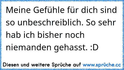 Meine Gefühle für dich sind so unbeschreiblich. So sehr hab ich bisher noch niemanden gehasst. :D ♥