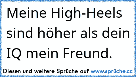 Meine High-Heels sind höher als dein IQ mein Freund.