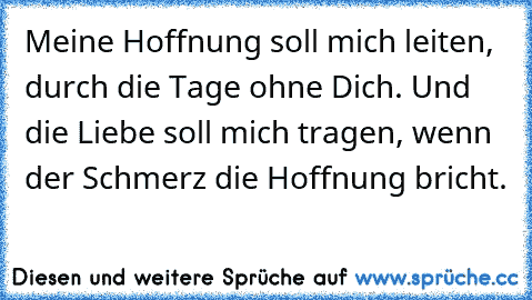 Meine Hoffnung soll mich leiten, durch die Tage ohne Dich. Und die Liebe soll mich tragen, wenn der Schmerz die Hoffnung bricht.