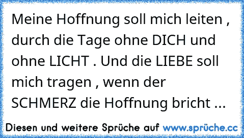 Meine Hoffnung soll mich leiten , durch die Tage ohne DICH und ohne LICHT . Und die LIEBE soll mich tragen , wenn der SCHMERZ die Hoffnung bricht ...