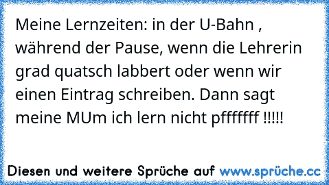 Meine Lernzeiten: in der U-Bahn , während der Pause, wenn die Lehrerin grad quatsch labbert oder wenn wir einen Eintrag schreiben. Dann sagt meine MUm ich lern nicht pfffffff !!!!!