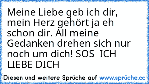 Meine Liebe geb ich dir, mein Herz gehört ja eh schon dir. All meine Gedanken drehen sich nur noch um dich! SOS – ICH LIEBE DICH ♥