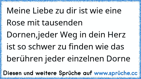 Meine Liebe zu dir ist wie eine Rose mit tausenden Dornen,jeder Weg in dein Herz ist so schwer zu finden wie das berühren jeder einzelnen Dorne