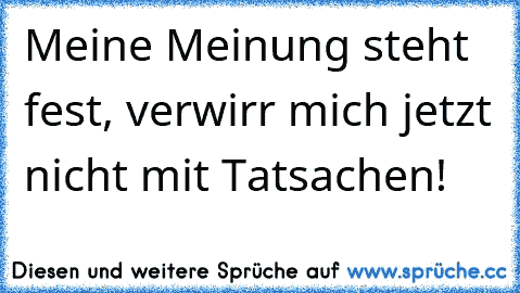 Meine Meinung steht fest, verwirr mich jetzt nicht mit Tatsachen!