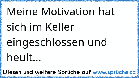 Meine Motivation hat sich im Keller eingeschlossen und heult...