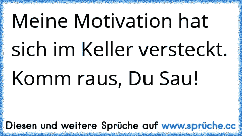 Meine Motivation hat sich im Keller versteckt. Komm raus, Du Sau!