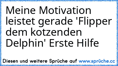 Meine Motivation leistet gerade 'Flipper dem kotzenden Delphin' Erste Hilfe