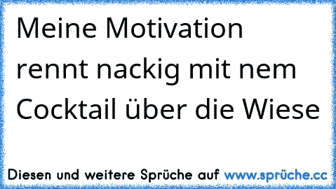 Meine Motivation rennt nackig mit nem Cocktail über die Wiese