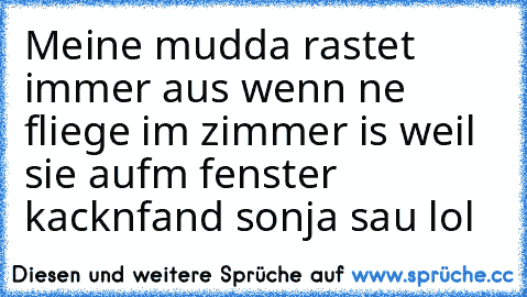 Meine mudda rastet immer aus wenn ne fliege im zimmer is weil sie aufm fenster kackn
fand sonja sau lol