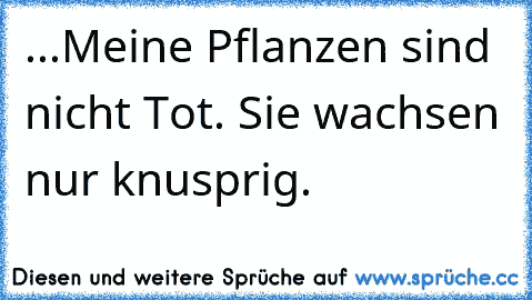 ...Meine Pflanzen sind nicht Tot. Sie wachsen nur knusprig.