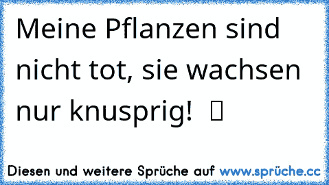 Meine Pflanzen sind nicht tot, sie wachsen nur knusprig!  ツ