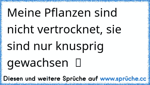 Meine Pflanzen sind nicht vertrocknet, sie sind nur knusprig gewachsen  ツ