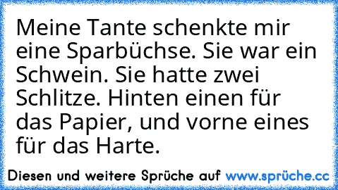 Meine Tante schenkte mir eine Sparbüchse. Sie war ein Schwein. Sie hatte zwei Schlitze. Hinten einen für das Papier, und vorne eines für das Harte.