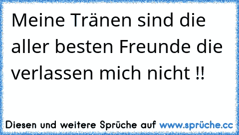 Meine Tränen sind die aller besten Freunde die verlassen mich nicht !!