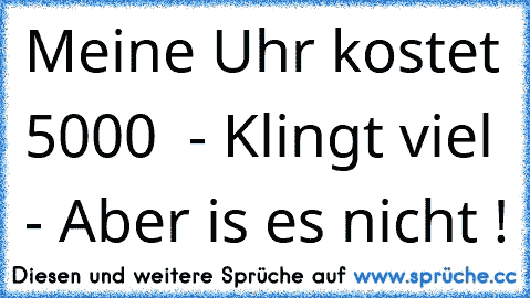 Meine Uhr kostet 5000 € - Klingt viel - Aber is es nicht !