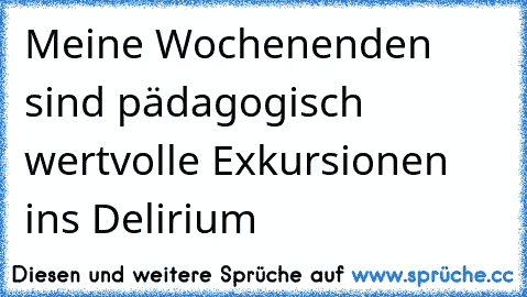 Meine Wochenenden sind pädagogisch wertvolle Exkursionen ins Delirium