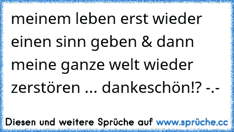 meinem leben erst wieder einen sinn geben & dann meine ganze welt wieder zerstören ... dankeschön!? -.-