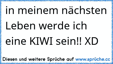 in meinem nächsten Leben werde ich eine KIWI sein!! XD