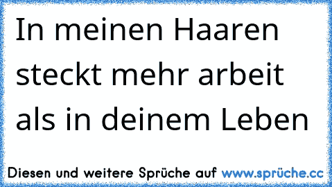 In meinen Haaren steckt mehr arbeit als in deinem Leben