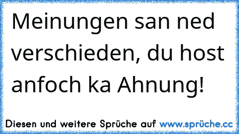 Meinungen san ned verschieden, du host anfoch ka Ahnung!