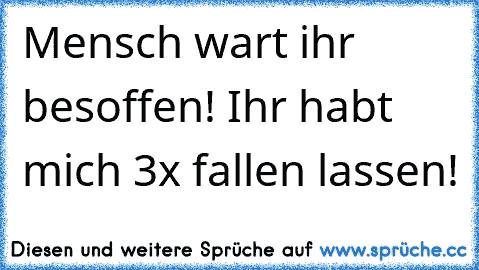 Mensch wart ihr besoffen! Ihr habt mich 3x fallen lassen!