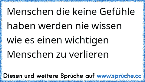 Menschen die keine Gefühle haben werden nie wissen wie es einen wichtigen Menschen zu verlieren