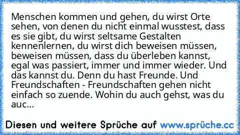 Menschen kommen und gehen, du wirst Orte sehen, von denen du nicht einmal wusstest, dass es sie gibt, du wirst seltsame Gestalten kennenlernen, du wirst dich beweisen müssen, beweisen müssen, dass du überleben kannst, egal was passiert, immer und immer wieder. Und das kannst du. Denn du hast Freunde. Und Freundschaften - Freundschaften gehen nicht einfach so zuende. Wohin du auch gehst, was du ...