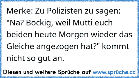 Merke: Zu Polizisten zu sagen: "Na? Bockig, weil Mutti euch beiden heute Morgen wieder das Gleiche angezogen hat?" kommt nicht so gut an.