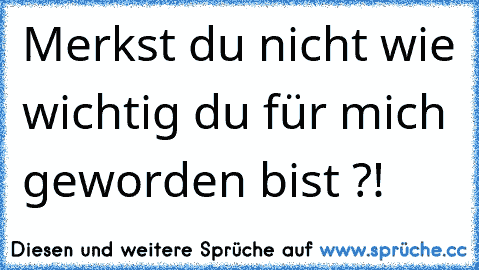 Merkst du nicht wie wichtig du für mich geworden bist ?!