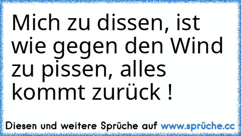 Mich zu dissen, ist wie gegen den Wind zu pissen, alles kommt zurück !