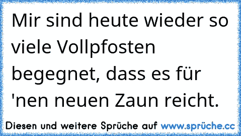 Mir sind heute wieder so viele Vollpfosten begegnet, dass es für 'nen neuen Zaun reicht.