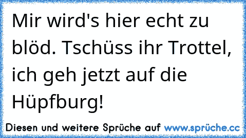 Mir wird's hier echt zu blöd. Tschüss ihr Trottel, ich geh jetzt auf die Hüpfburg!