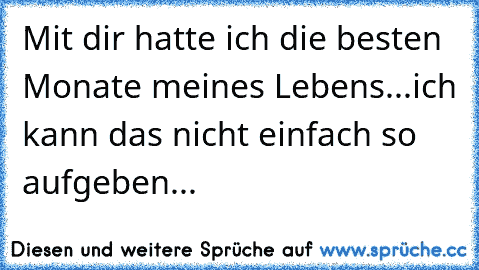 Mit dir hatte ich die besten Monate meines Lebens...ich kann das nicht einfach so aufgeben...