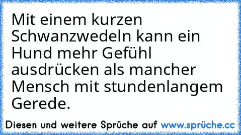 Mit einem kurzen Schwanzwedeln kann ein Hund mehr Gefühl ausdrücken als mancher Mensch mit stundenlangem Gerede.