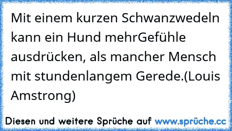 Mit einem kurzen Schwanzwedeln kann ein Hund mehr
Gefühle ausdrücken, als mancher Mensch mit stundenlangem Gerede.
(Louis Amstrong)