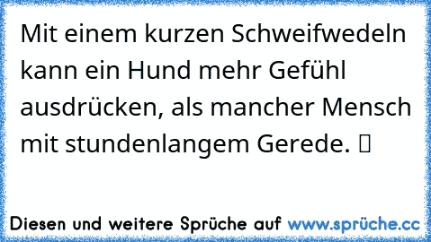 Mit einem kurzen Schweifwedeln kann ein Hund mehr Gefühl ausdrücken, als mancher Mensch mit stundenlangem Gerede. ツ