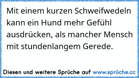 Mit einem kurzen Schweifwedeln kann ein Hund mehr Gefühl ausdrücken, als mancher Mensch mit stundenlangem Gerede.