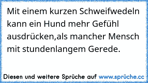 Mit einem kurzen Schweifwedeln kann ein Hund mehr Gefühl ausdrücken,
als mancher Mensch mit stundenlangem Gerede.