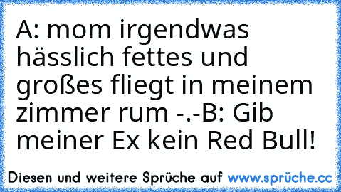 A: mom irgendwas hässlich fettes und großes fliegt in meinem zimmer rum -.-
B: Gib meiner Ex kein Red Bull!