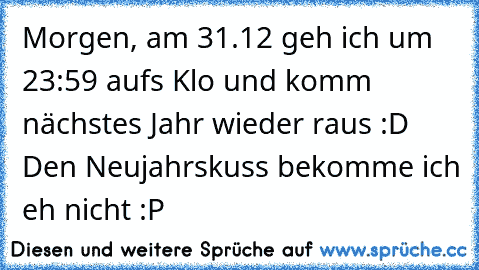 Morgen, am 31.12 geh ich um 23:59 aufs Klo und komm nächstes Jahr wieder raus :D
 Den Neujahrskuss bekomme ich eh nicht :P