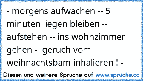 - morgens aufwachen -
- 5 minuten liegen bleiben -
- aufstehen -
- ins wohnzimmer gehen -
  geruch vom weihnachtsbam inhalieren ! -
♥