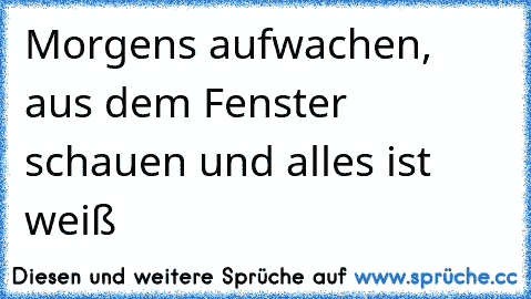 Morgens aufwachen, aus dem Fenster schauen und alles ist weiß 