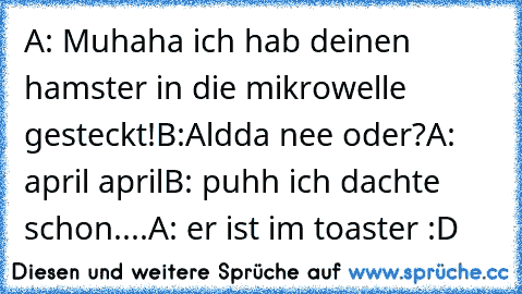 A: Muhaha ich hab deinen hamster in die mikrowelle gesteckt!
B:Aldda nee oder?
A: april april
B: puhh ich dachte schon....
A: er ist im toaster :D