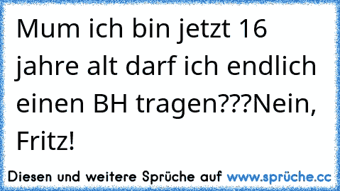 Mum ich bin jetzt 16 jahre alt darf ich endlich einen BH tragen???
Nein, Fritz!