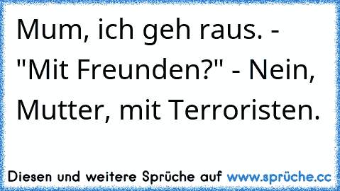 Mum, ich geh raus. - "Mit Freunden?" - Nein, Mutter, mit Terroristen.