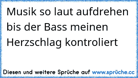 Musik so laut aufdrehen bis der Bass meinen Herzschlag kontroliert ♥