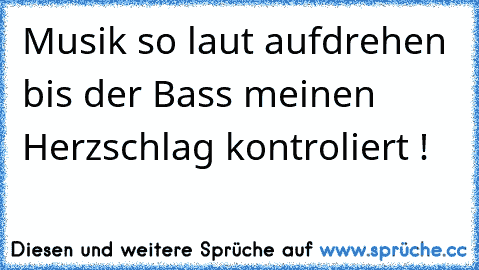 Musik so laut aufdrehen bis der Bass meinen Herzschlag kontroliert ♥!