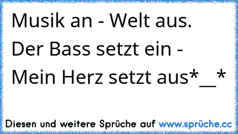 Musik an - Welt aus. Der Bass setzt ein - Mein Herz setzt aus*__*♥