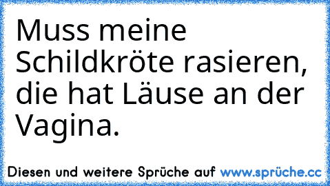 Muss meine Schildkröte rasieren, die hat Läuse an der Vagina.